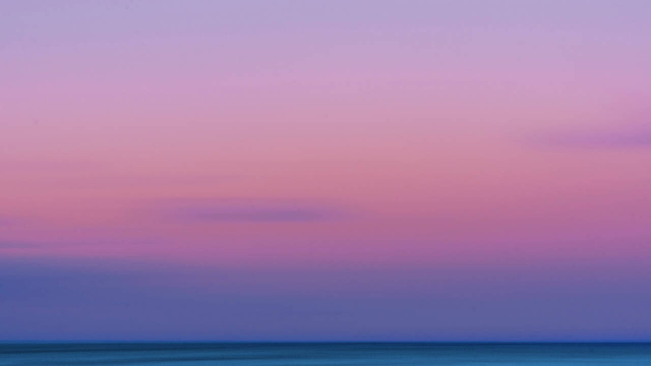 OrchidExperience_ThePaths_Grounding.jpg